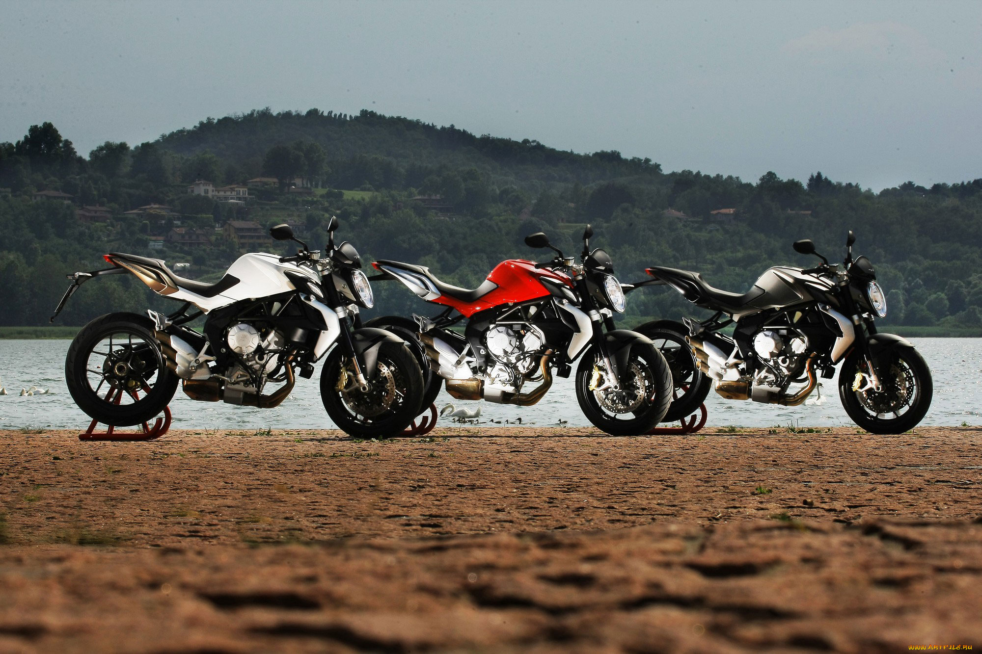 мотоциклы, mv, agusta, mv, augusta