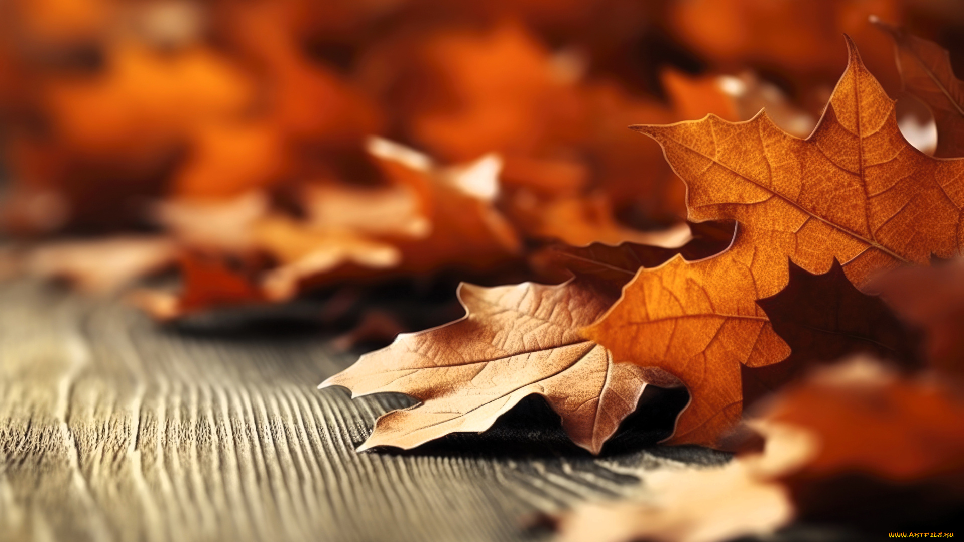 3д, графика, природа, , nature, листья, осень, столешница
