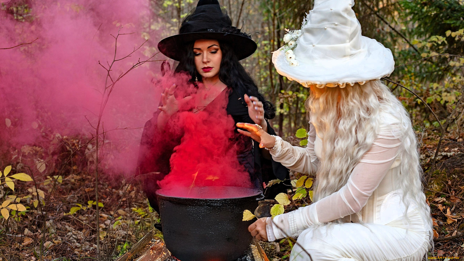 девушки, юлия, огородникова, образы, косплей, наряды, костюмы, подруги, ведьмы, шляпы, платья, дым, котел, костер, осень, лес