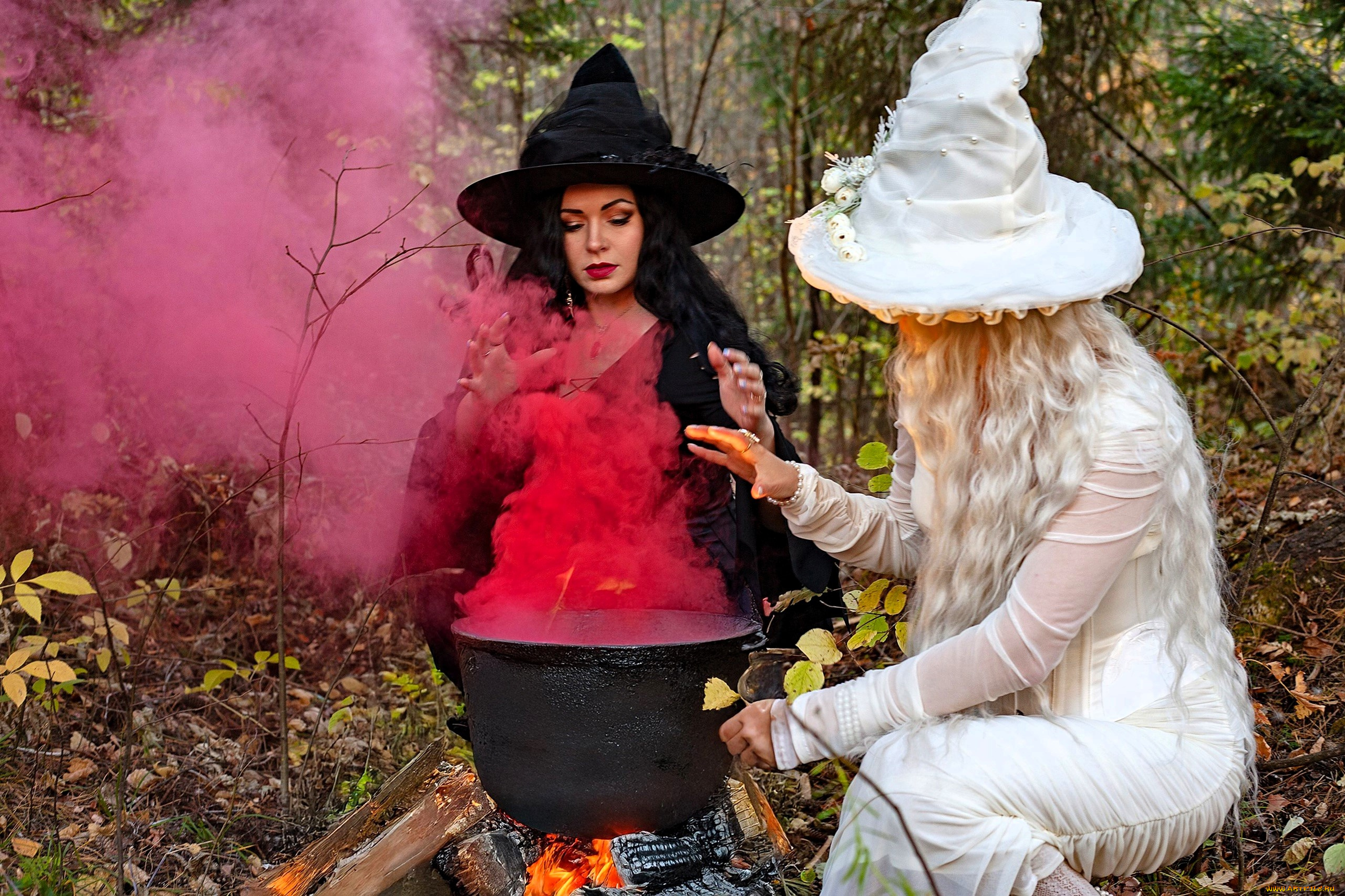 девушки, юлия, огородникова, образы, косплей, наряды, костюмы, подруги, ведьмы, шляпы, платья, дым, котел, костер, осень, лес