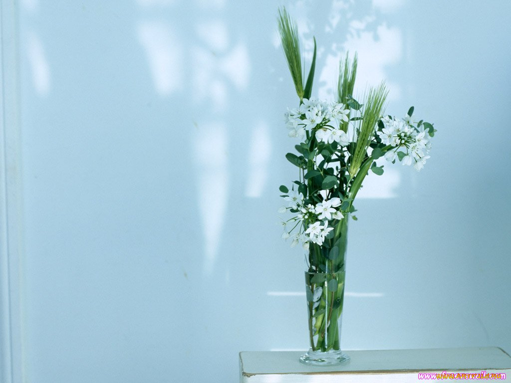 цветы, букеты, композиции