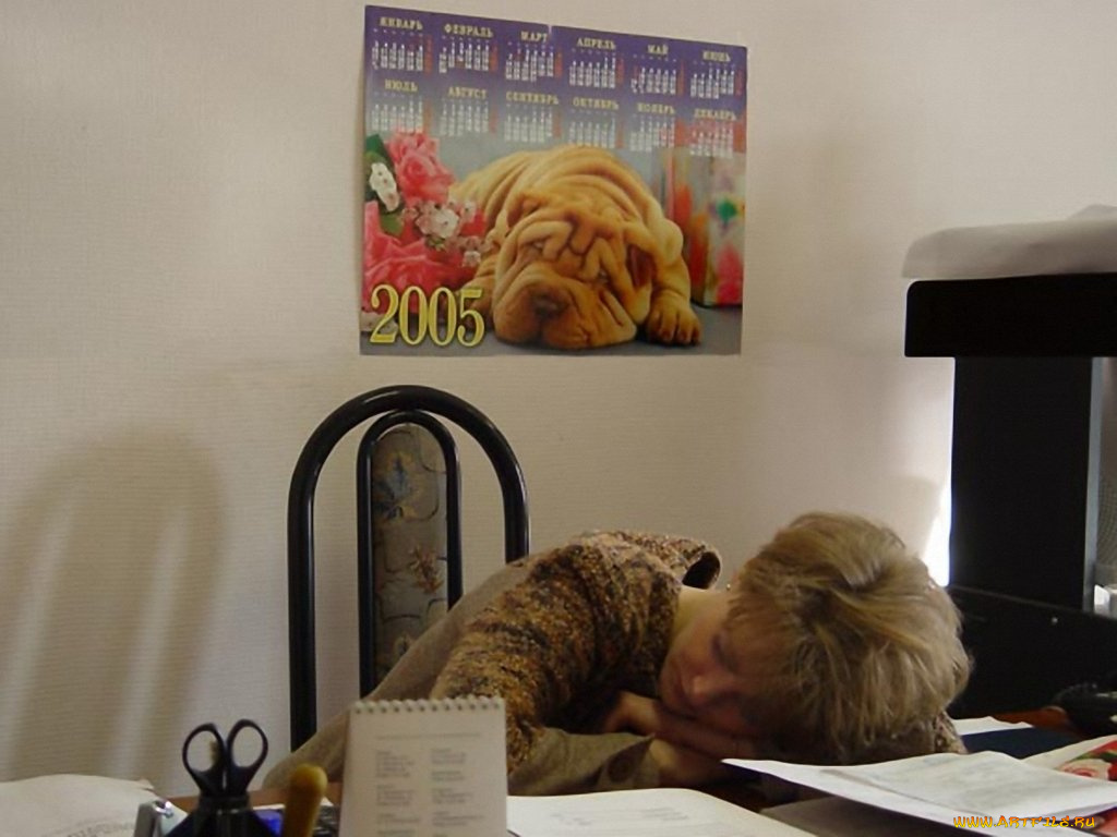 юмор, приколы