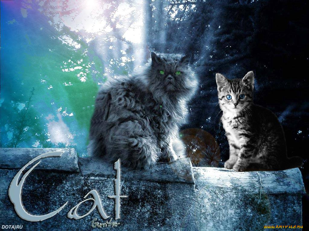 животные, коты