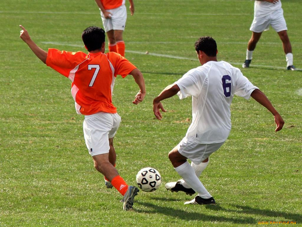 спорт, футбол