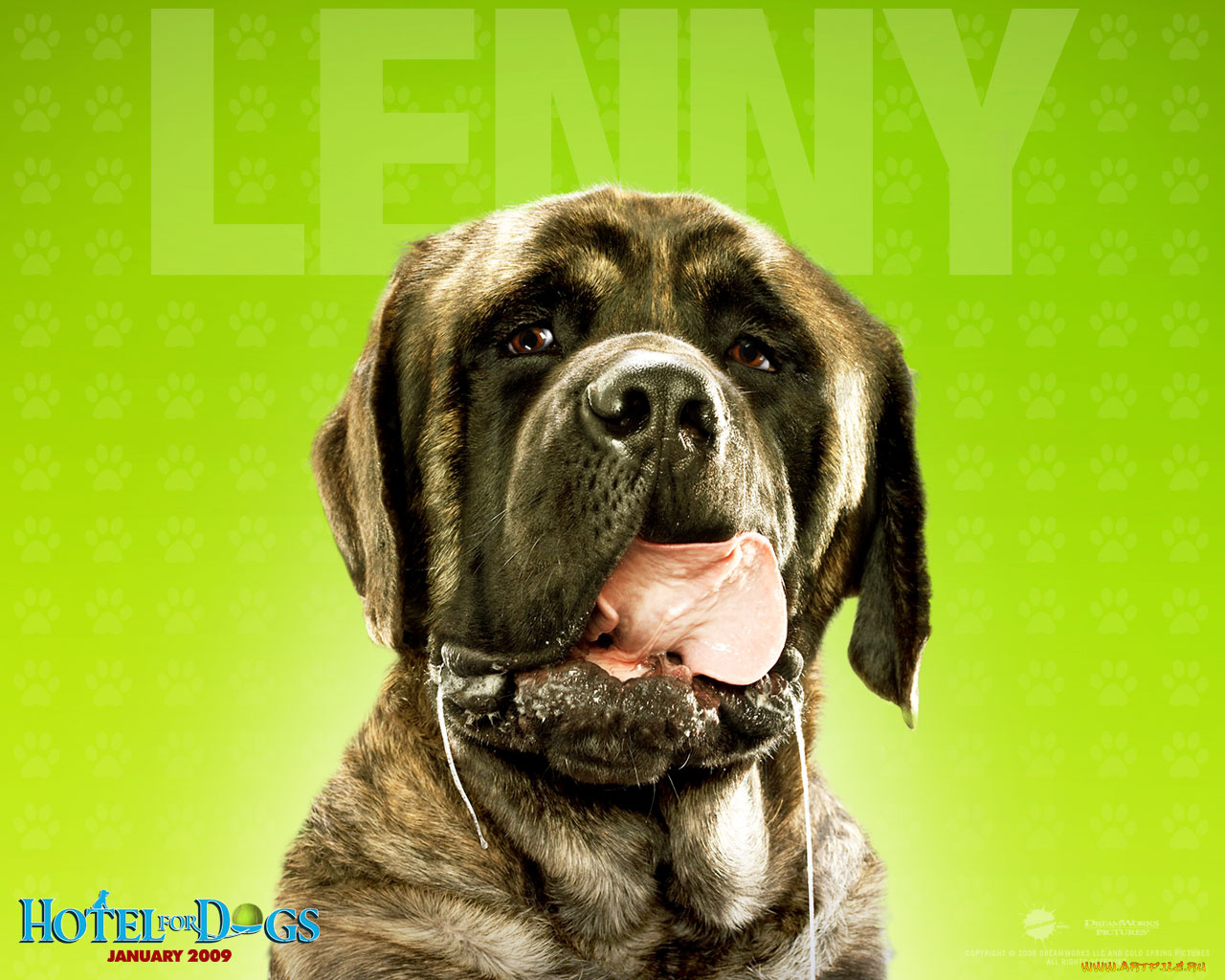 hotel, for, dogs, кино, фильмы