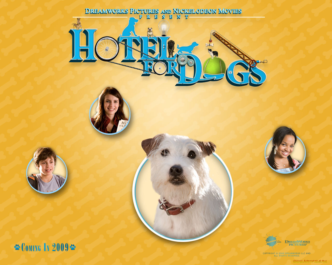 hotel, for, dogs, кино, фильмы