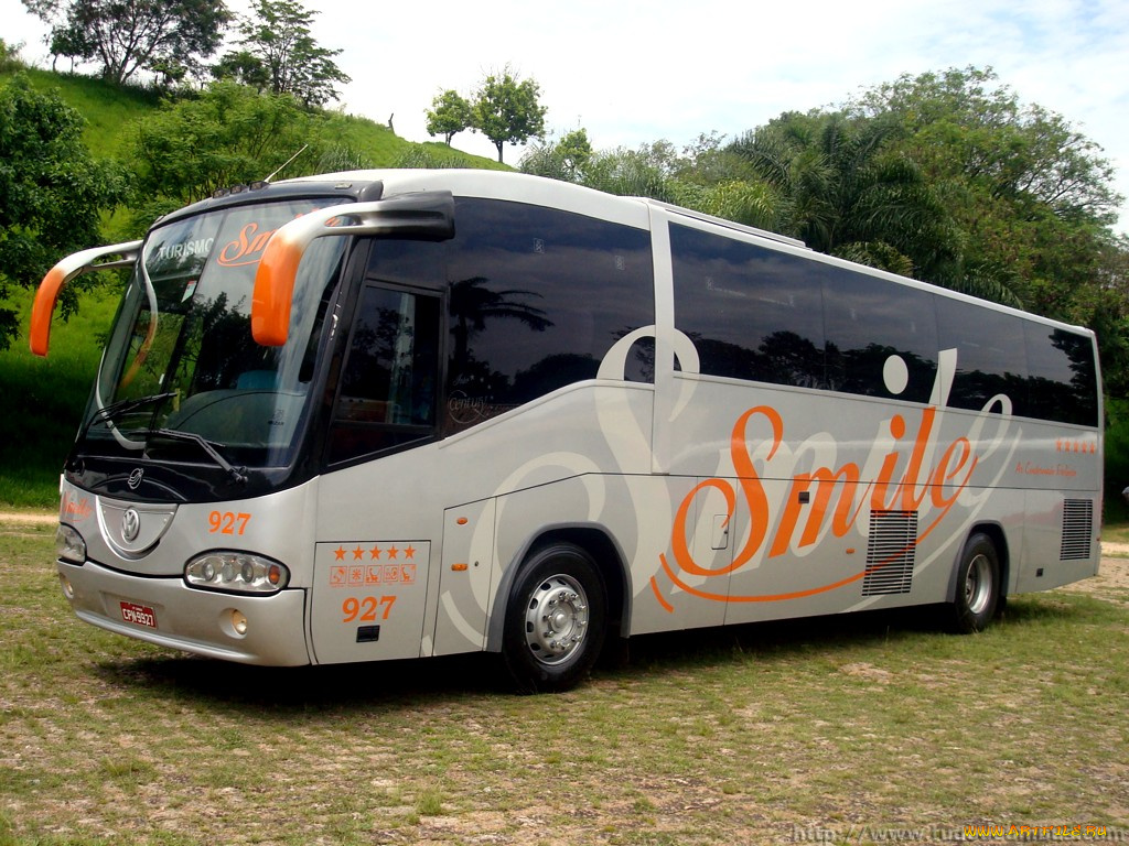 автомобили, автобусы