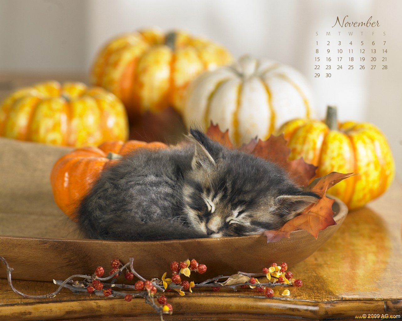 календари, животные