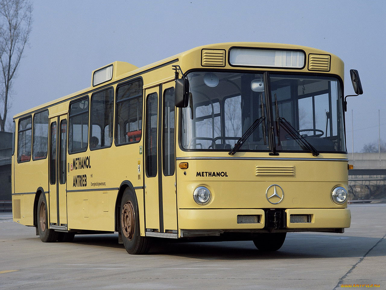 автомобили, автобусы