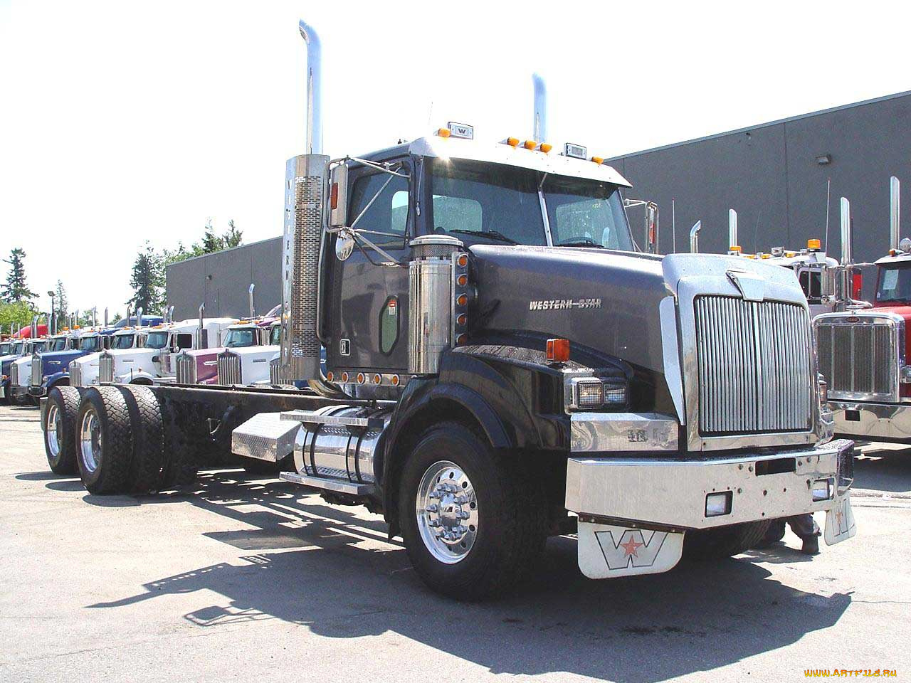 автомобили, western, star