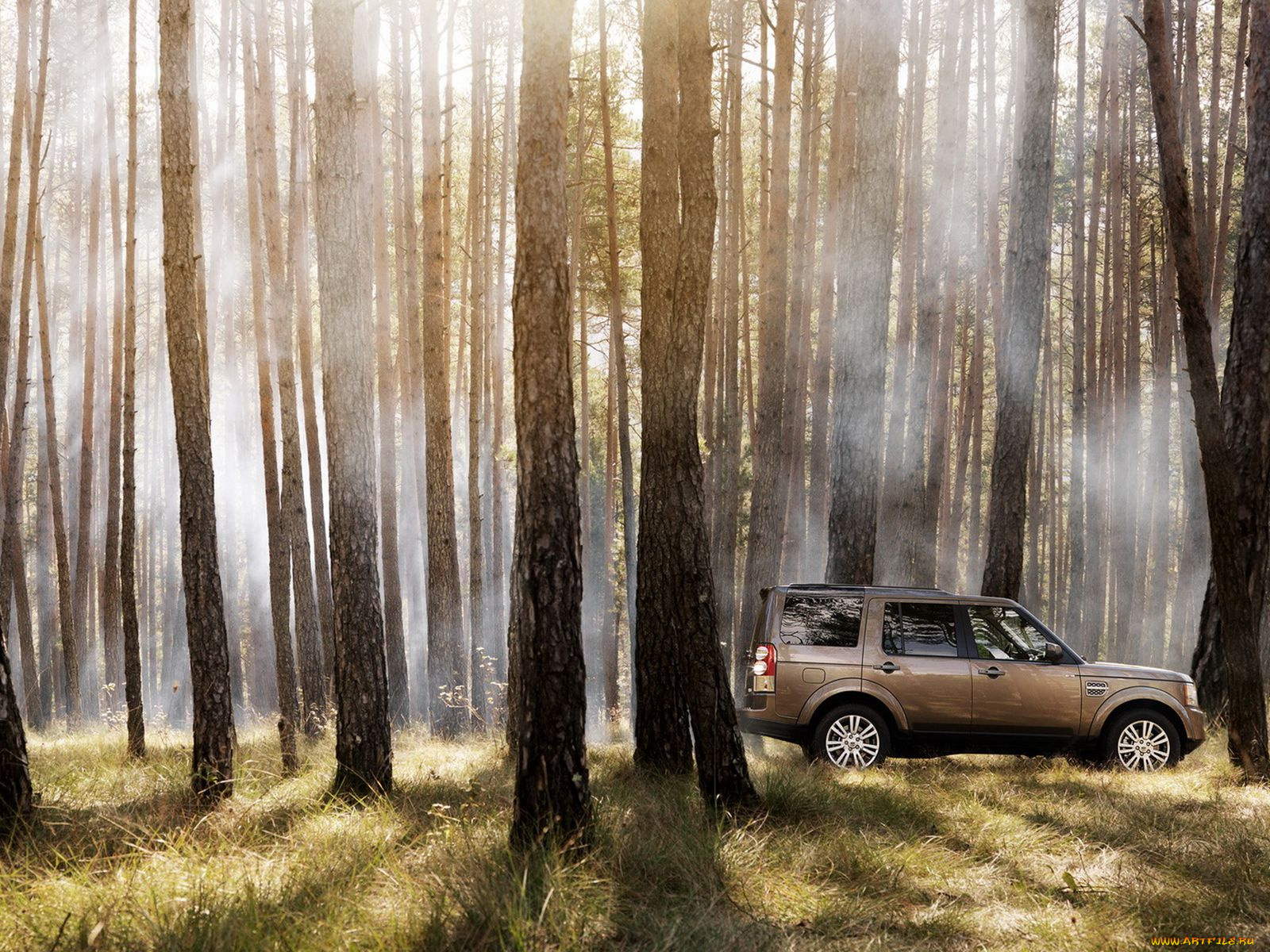 автомобили, land, rover