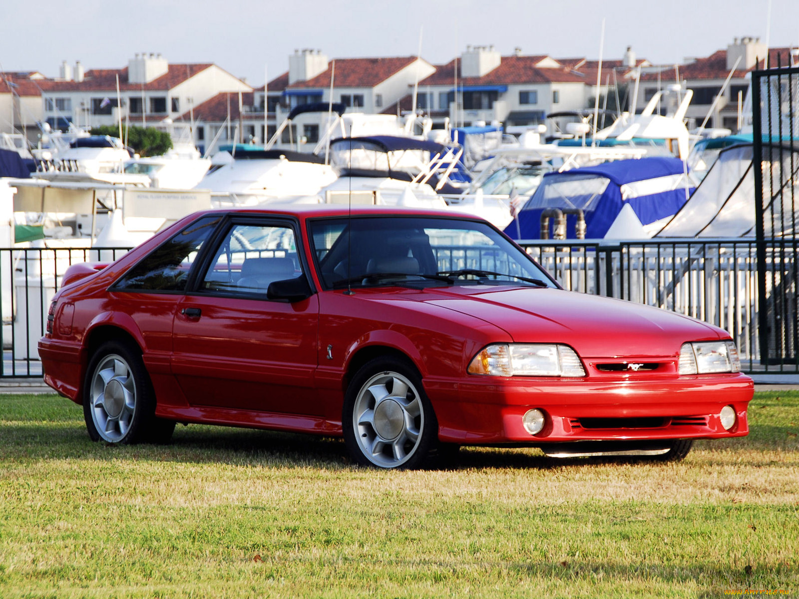 автомобили, mustang