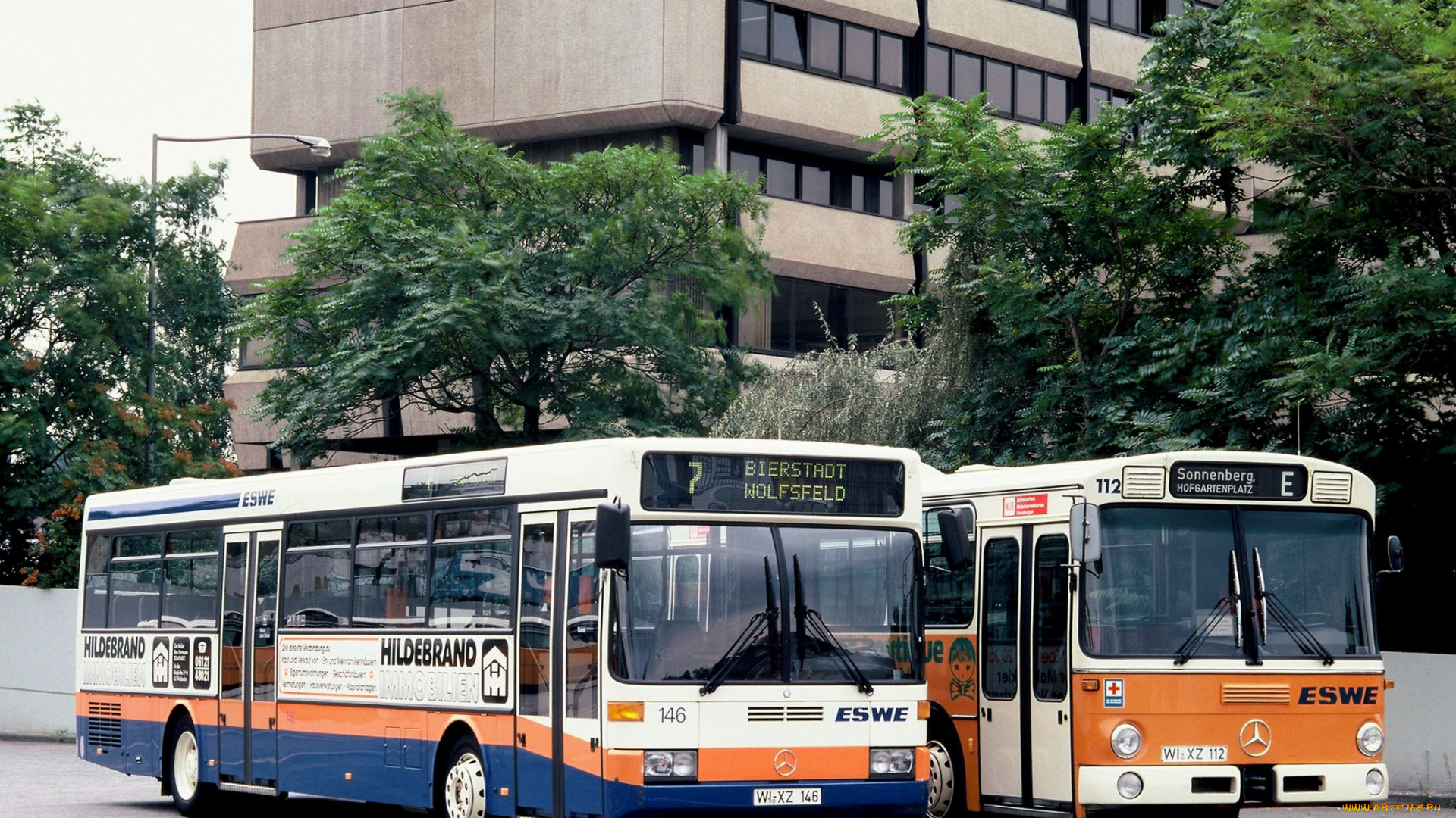 автомобили, автобусы