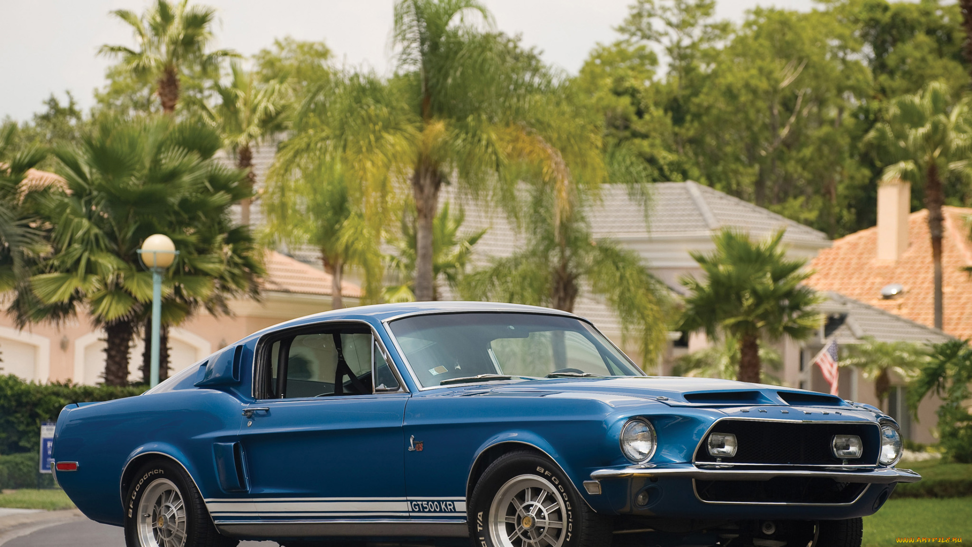 автомобили, mustang