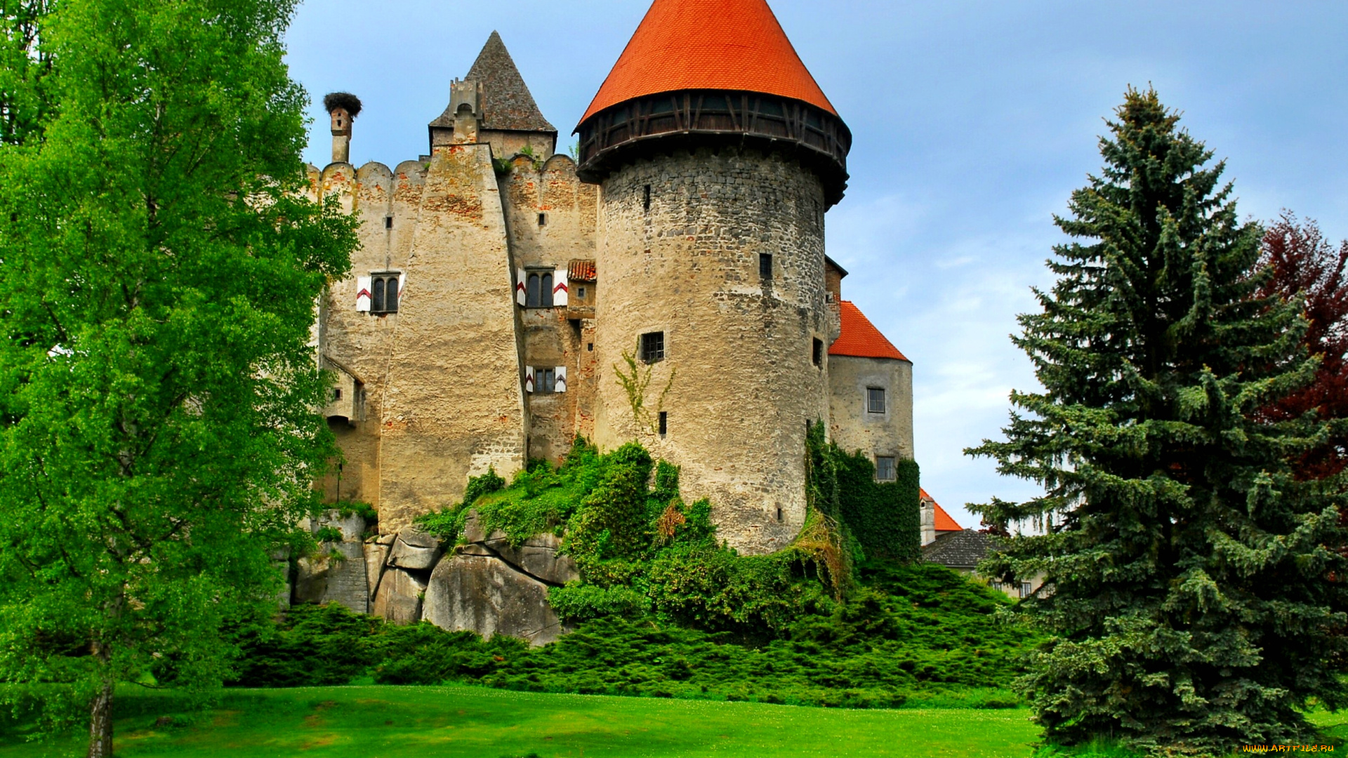 нижняя, австрия, хайденрайхштайн, города, дворцы, замки, крепости, башни, стены, замок, шпили, лес