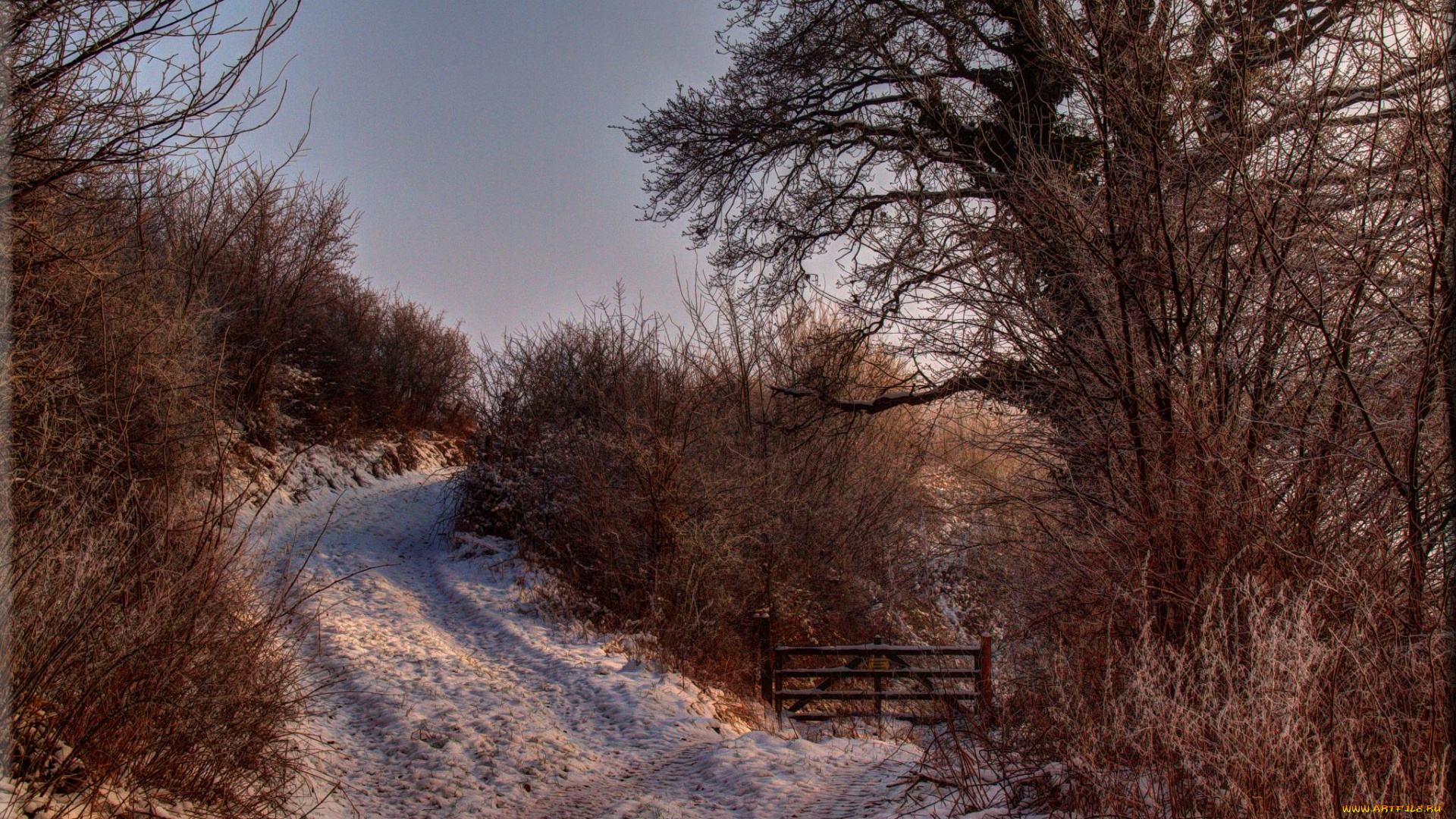 природа, дороги, зима, деревья