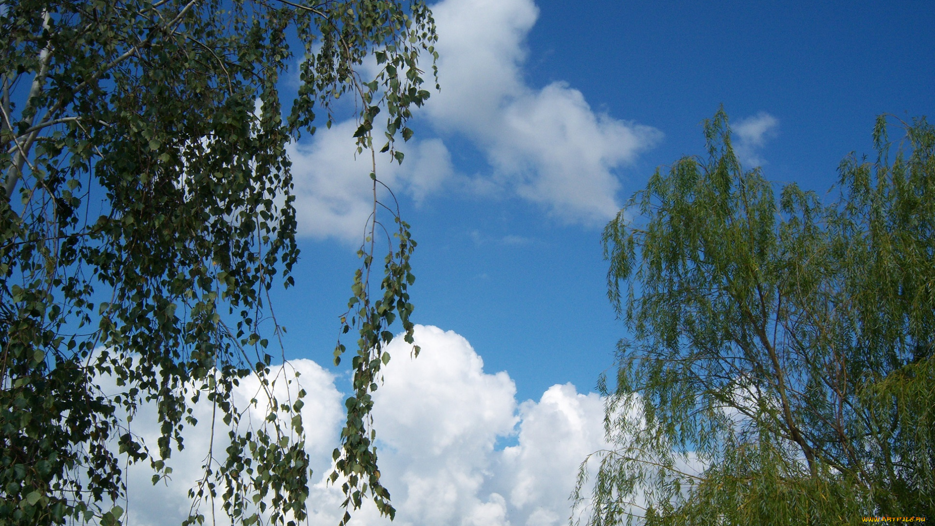 природа, облака