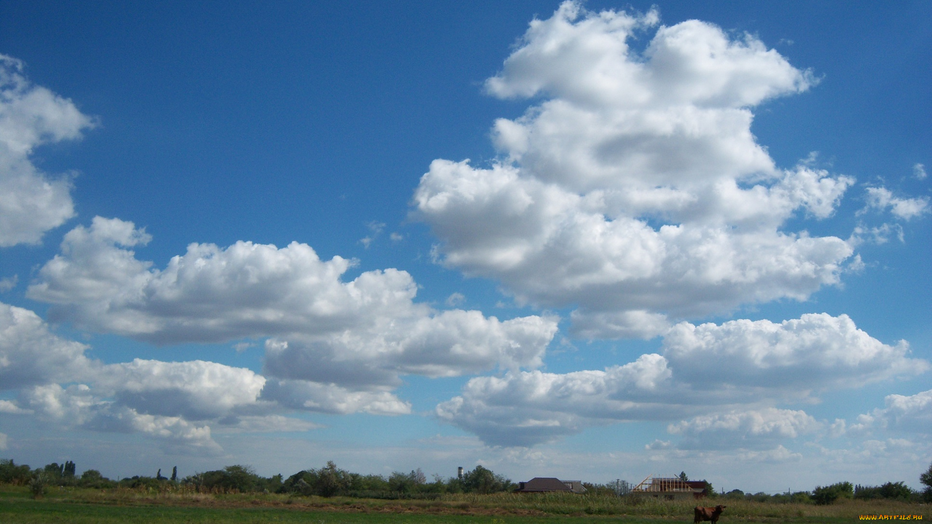 природа, облака