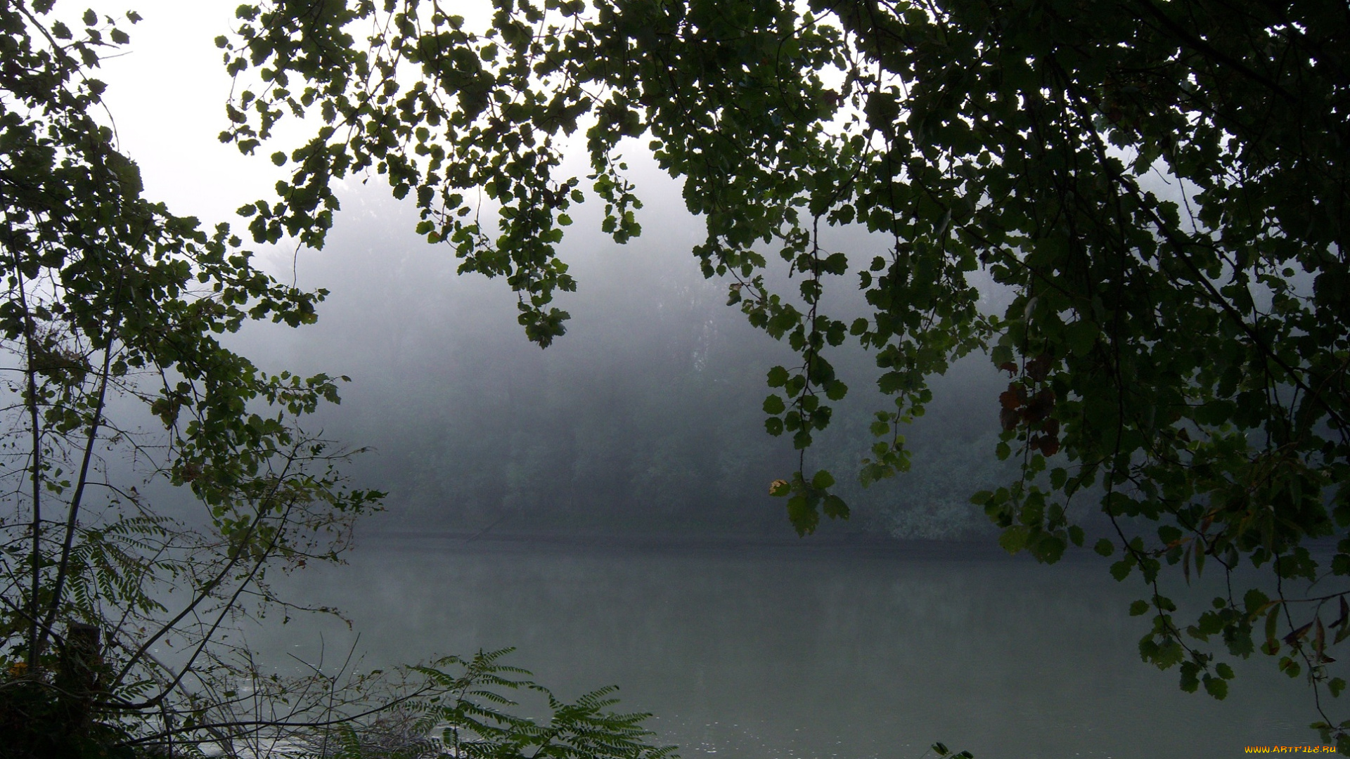 природа, реки, озера