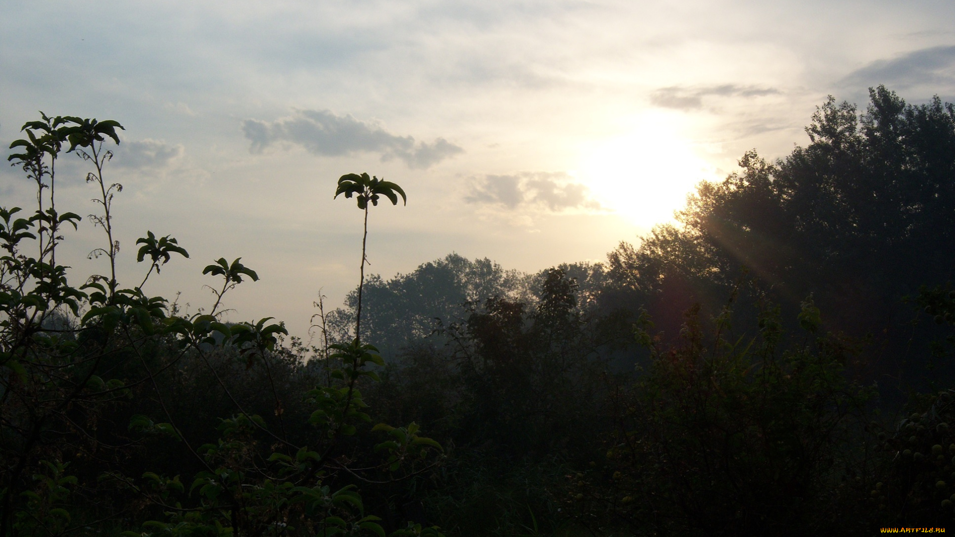 природа, восходы, закаты