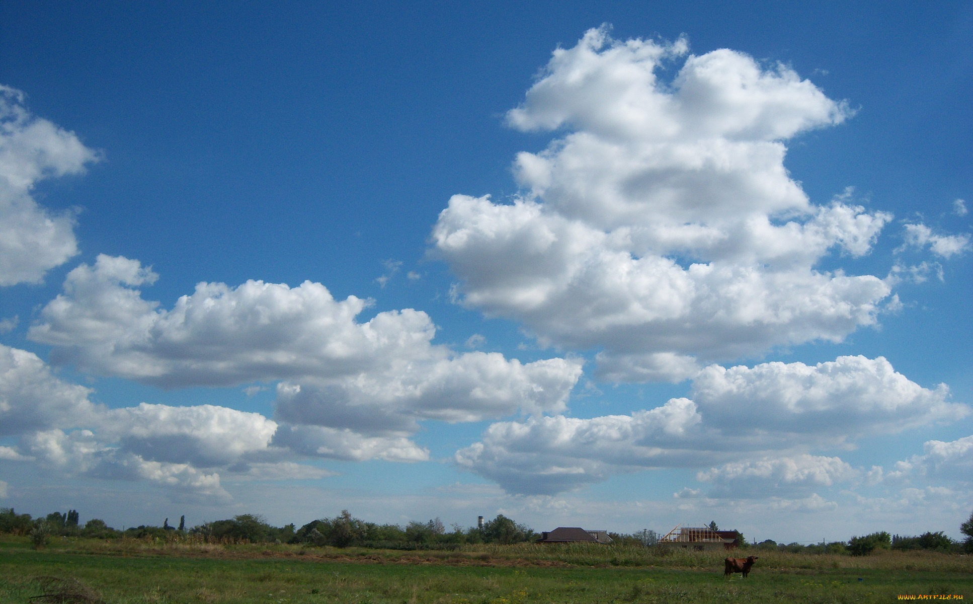 природа, облака