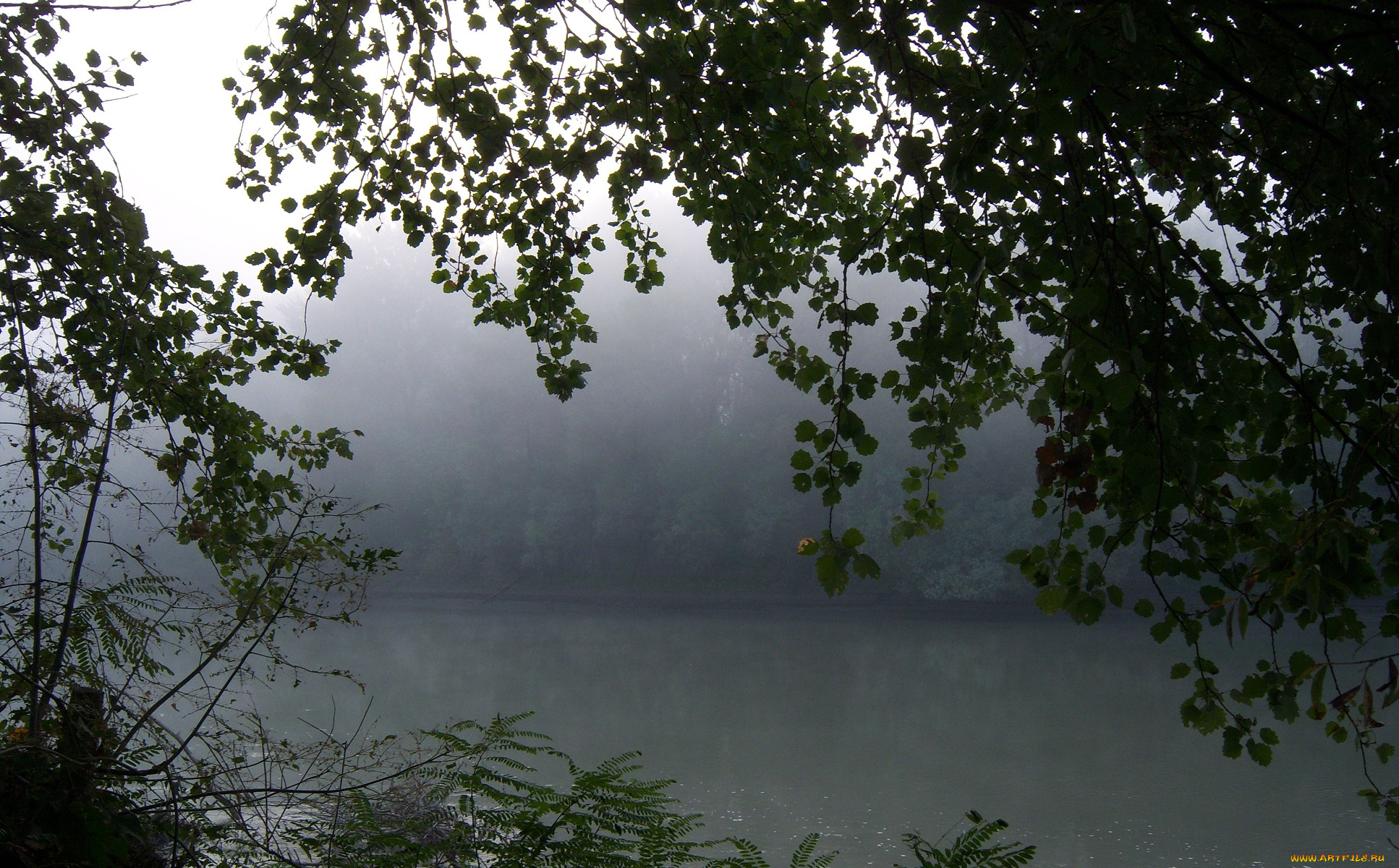 природа, реки, озера