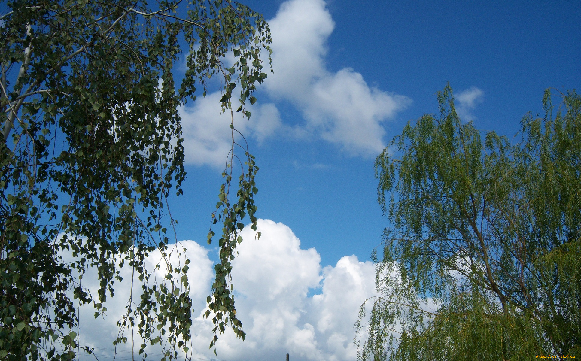 природа, облака