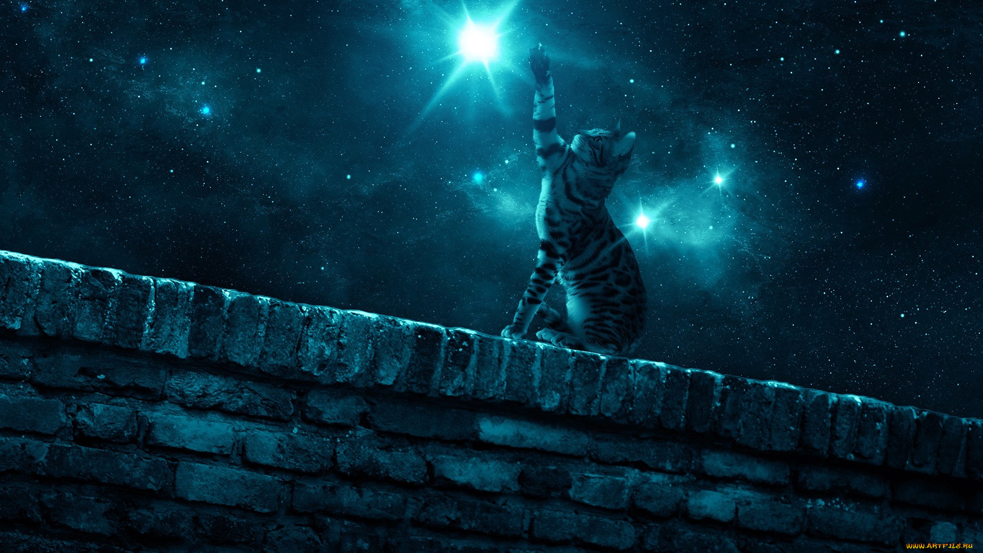 фэнтези, фотоарт, лапа, стена, ночь, кошка, звезда, звездное, небо
