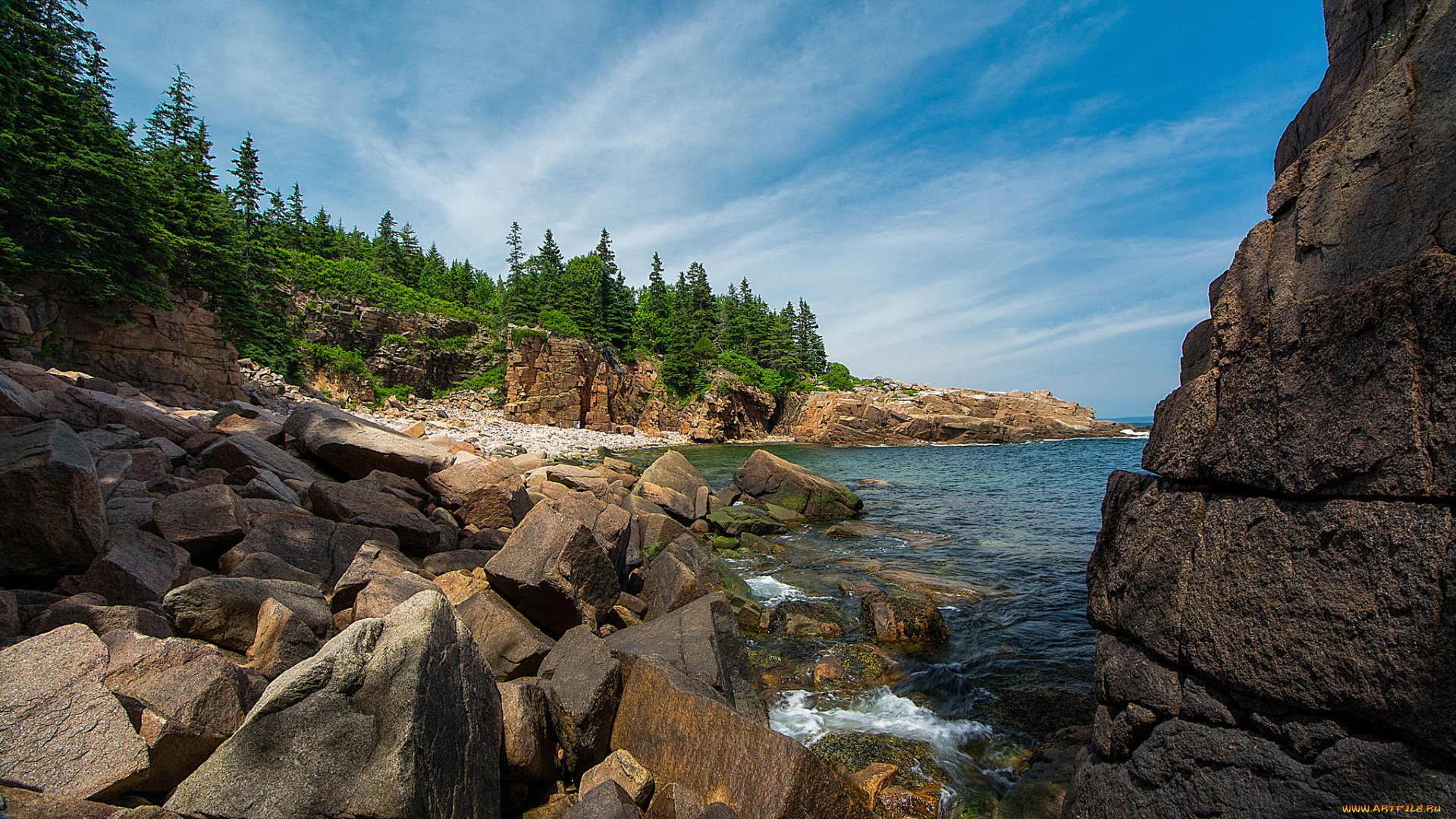 природа, побережье, лес, скалы, океан