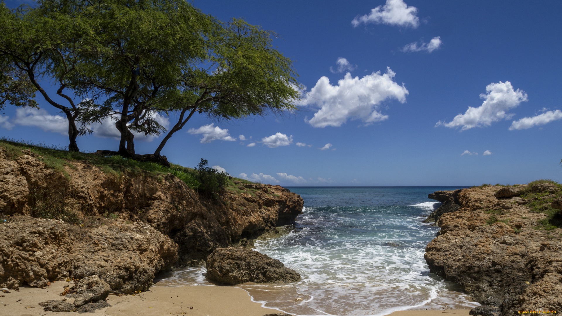 природа, побережье, растения, залив, облака, небо