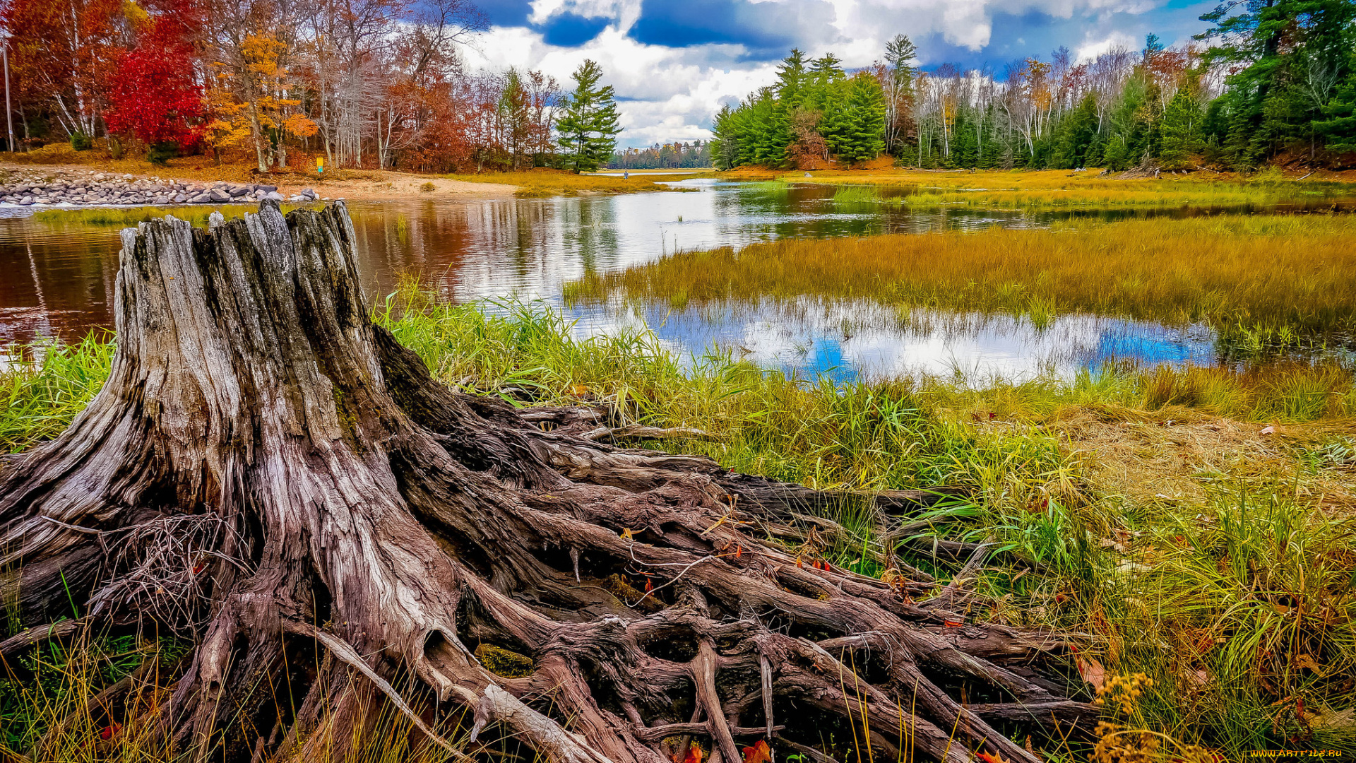природа, реки, озера, лес, осень, река