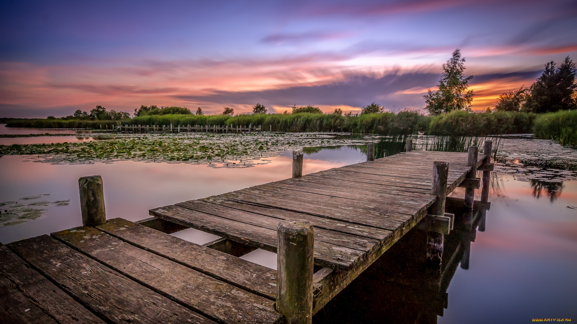 природа, реки, озера, мостик, озеро, лес