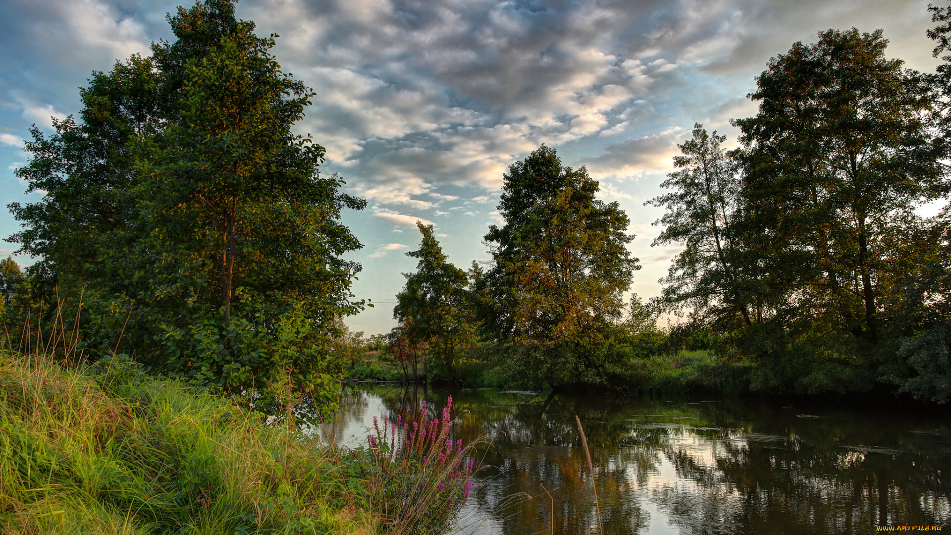 природа, реки, озера, облака, лес, река