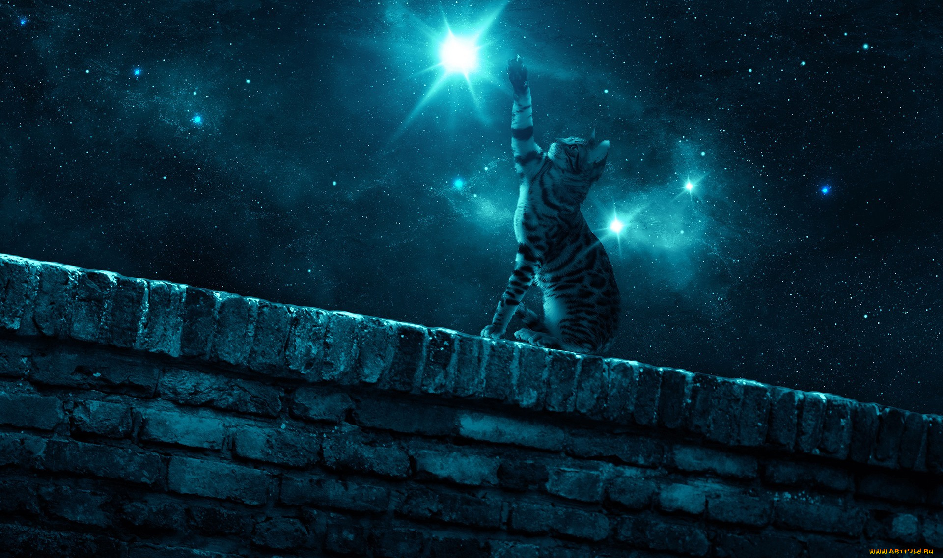 фэнтези, фотоарт, лапа, стена, ночь, кошка, звезда, звездное, небо