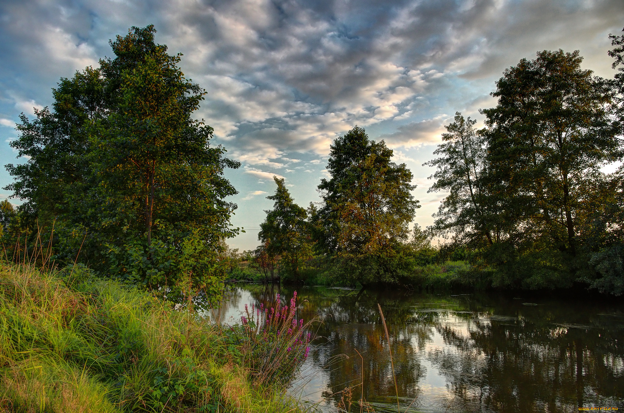 природа, реки, озера, облака, лес, река