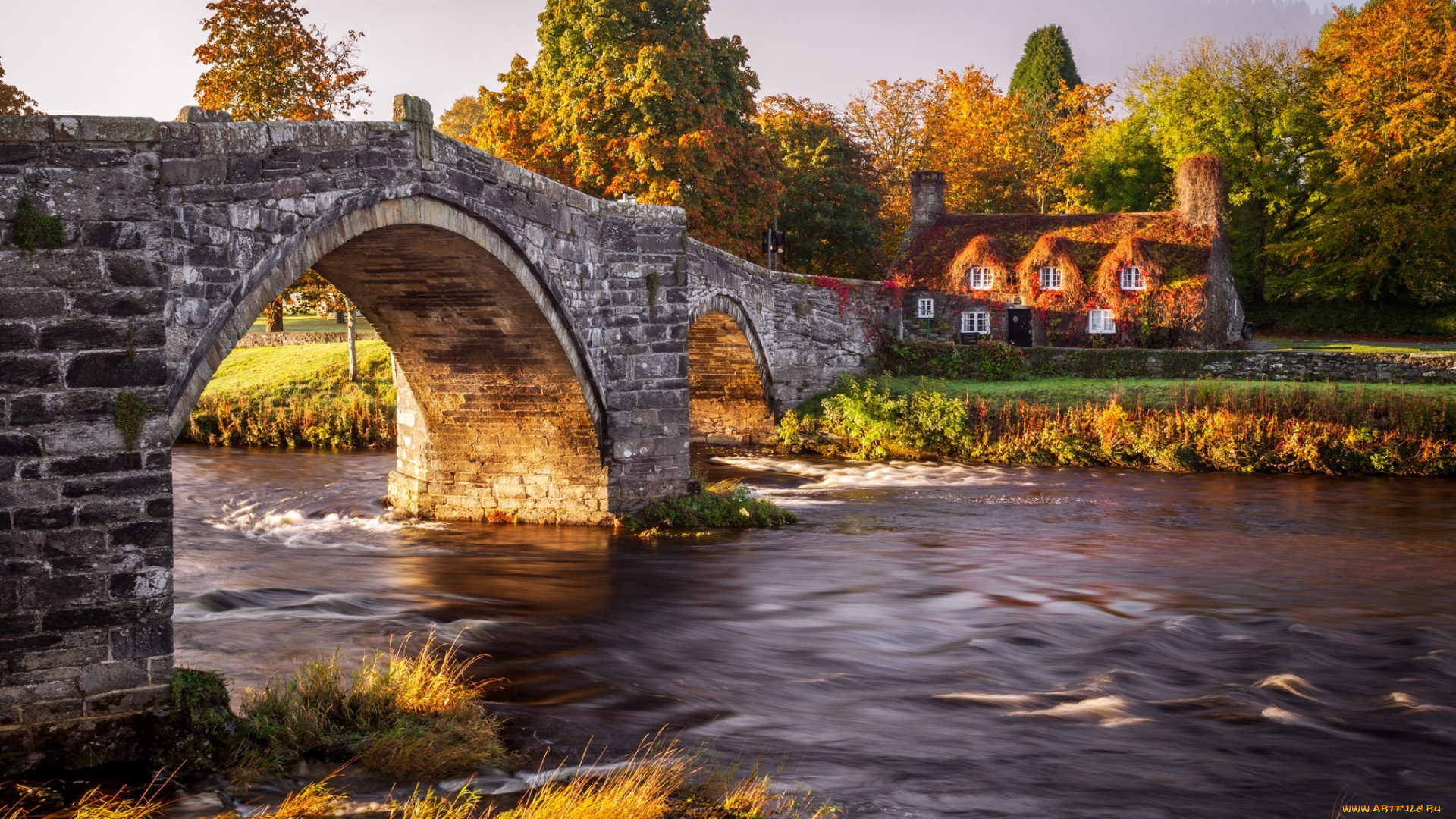 города, -, мосты, природа, осень, лес, мост, дом, река