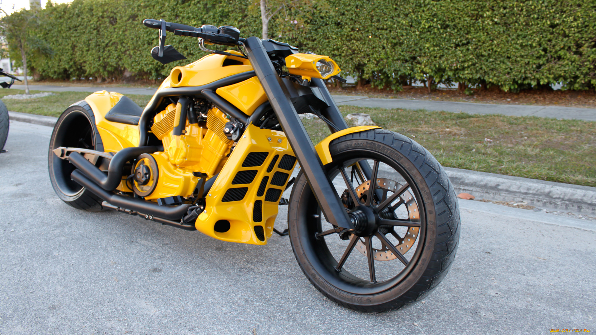 мотоциклы, customs, custom