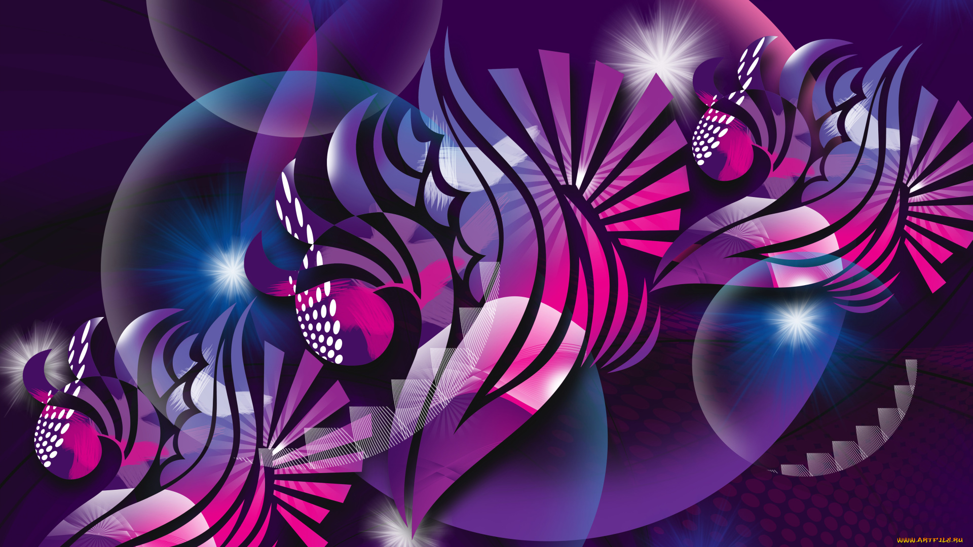 векторная, графика, графика, , graphics, цвета, фон, узор