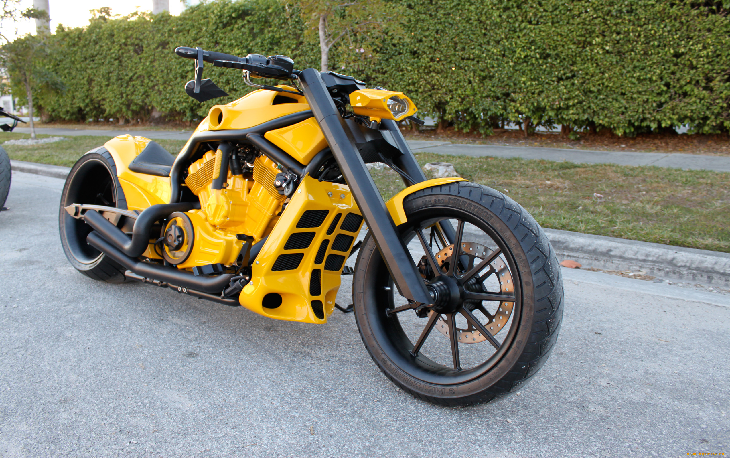 мотоциклы, customs, custom