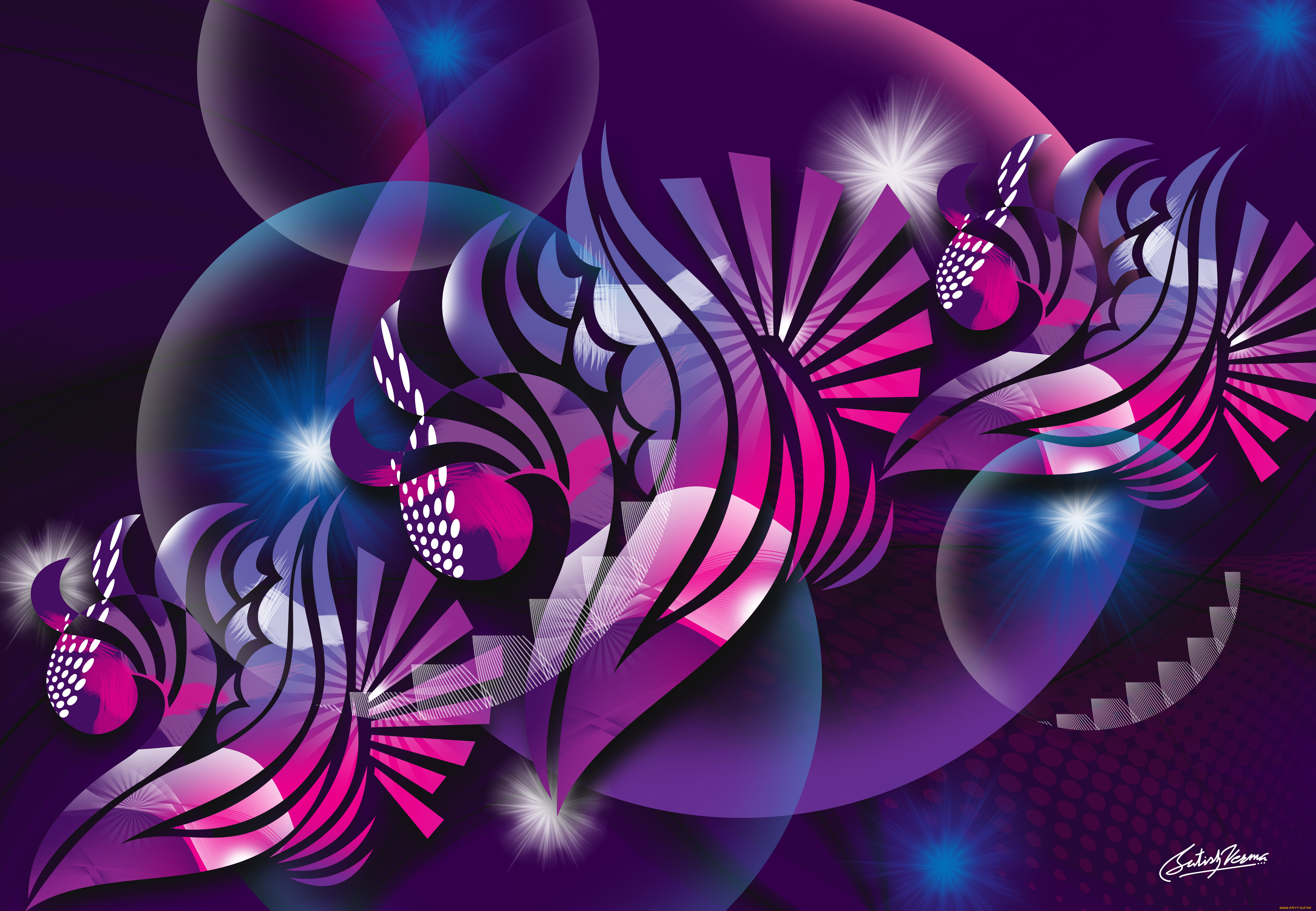 векторная, графика, графика, , graphics, цвета, фон, узор