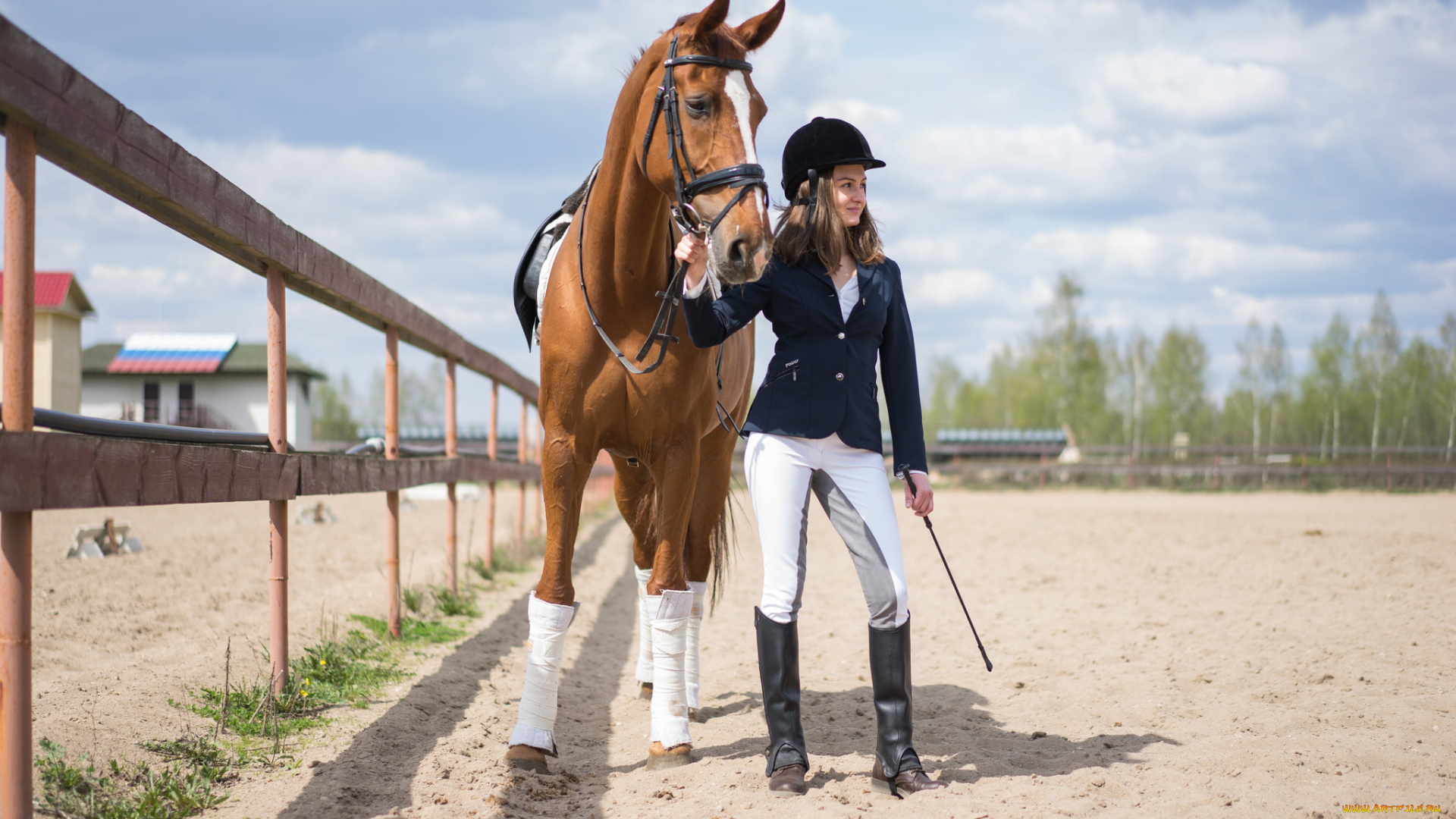 девушки, -unsort, , брюнетки, , шатенки, взгляд, лицо