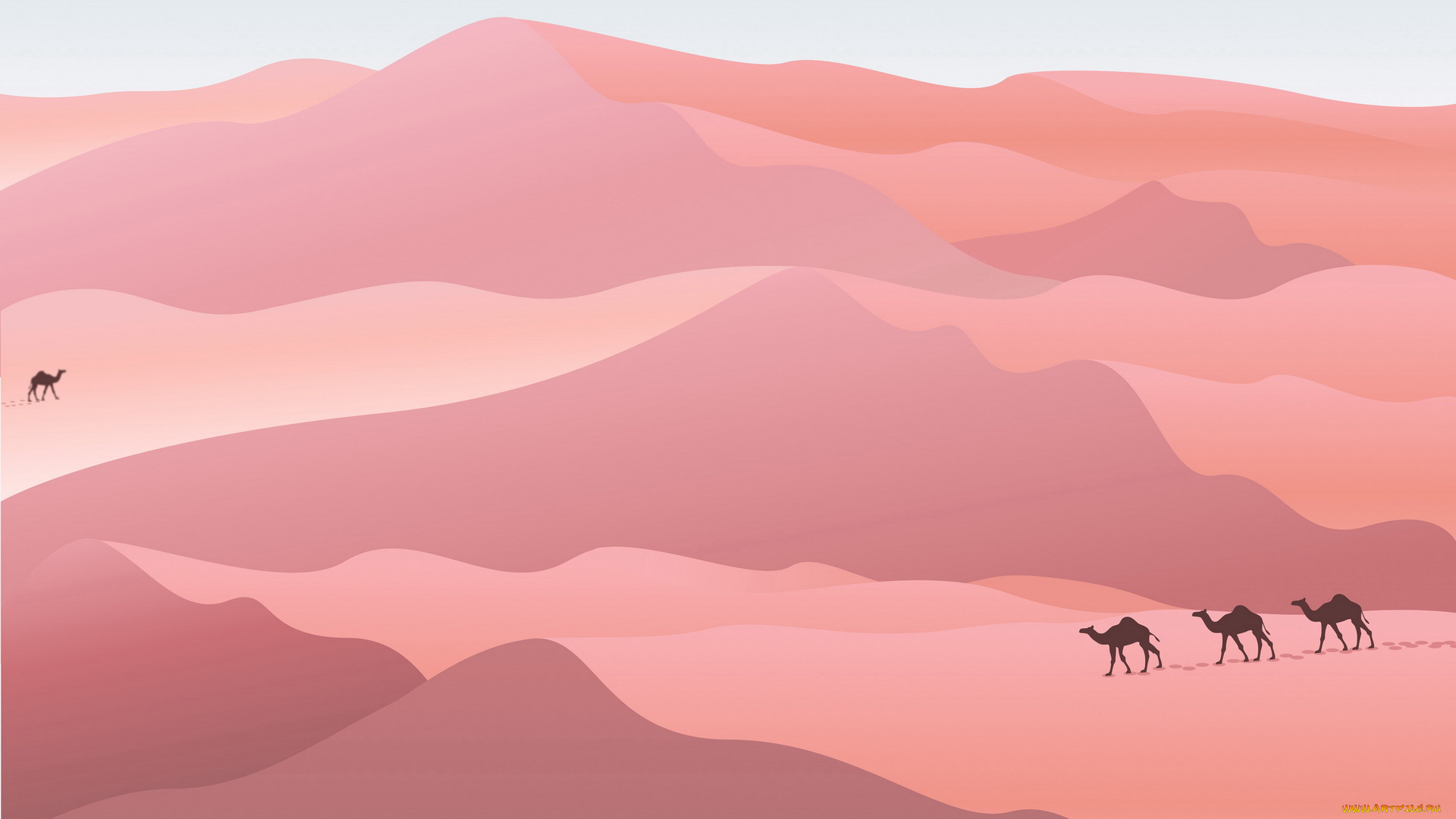 векторная, графика, природа, , nature, верблюды, пустыня