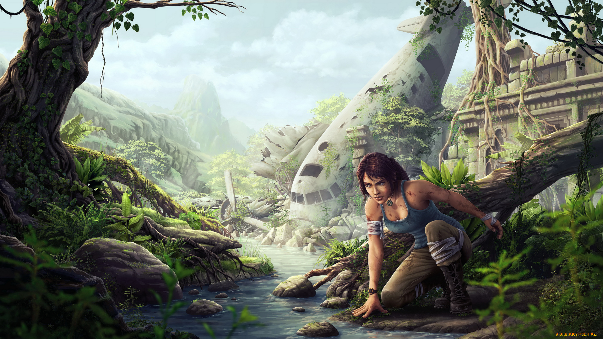 видео, игры, tomb, raider, 2013, девушка, самолет, взгляд, фон