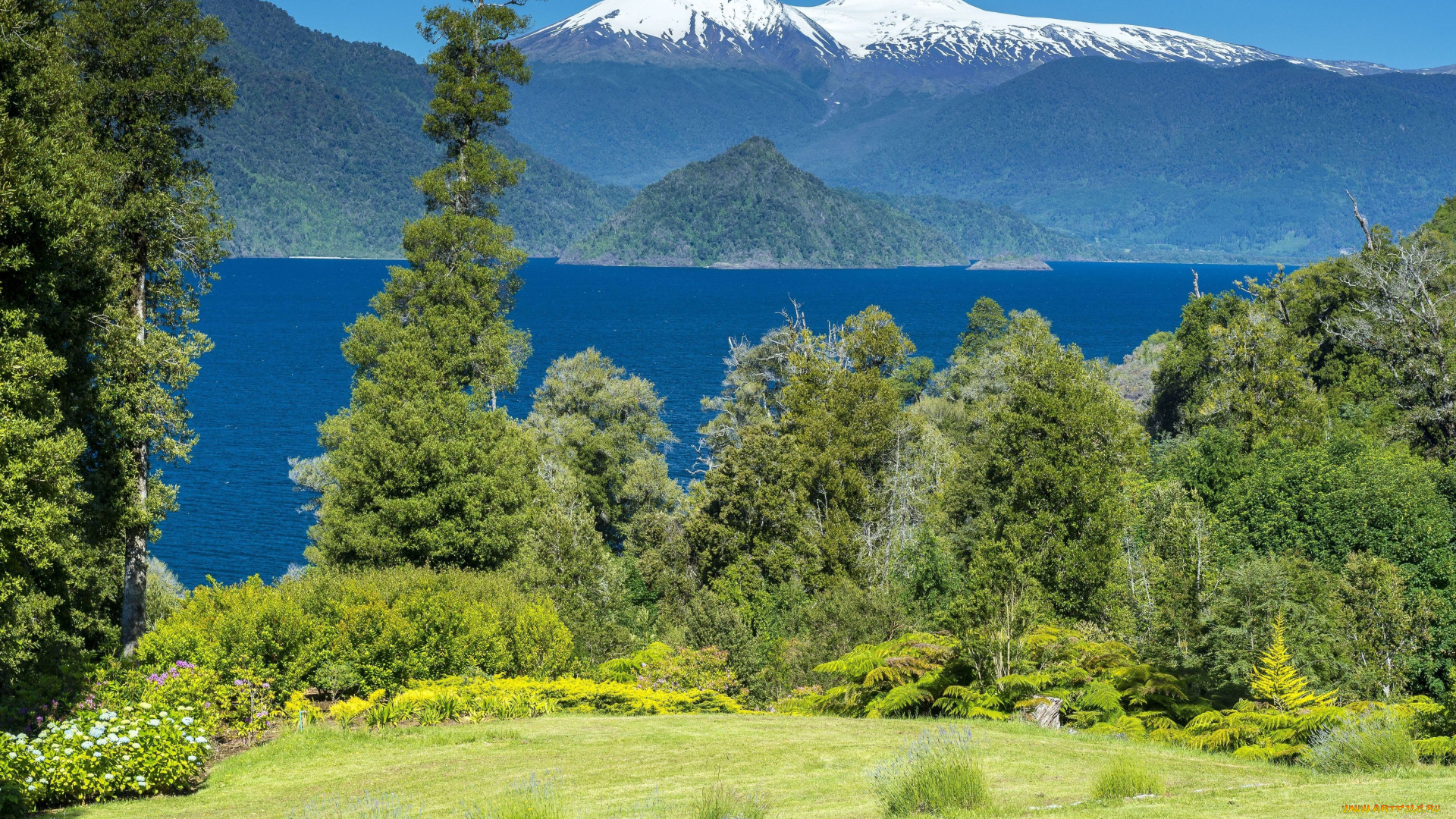 Чили, природа, пейзажи, озеро, горы, деревья