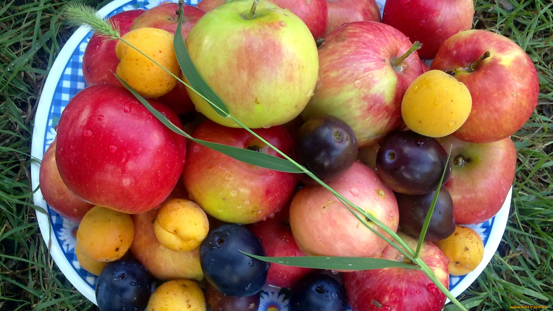 еда, фрукты, , ягоды, абрикосы, сливы, яблоки