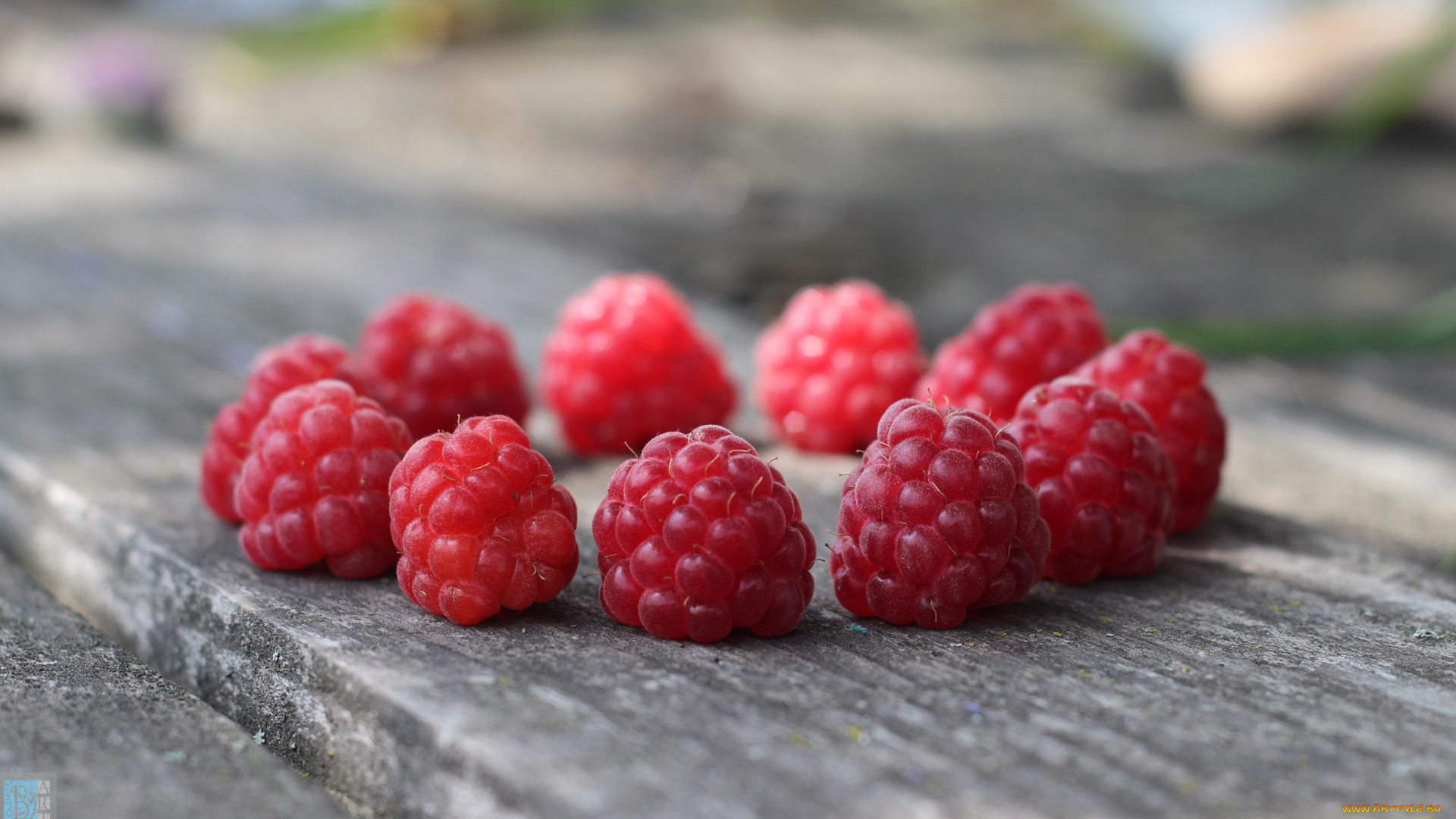 еда, малина, ягоды