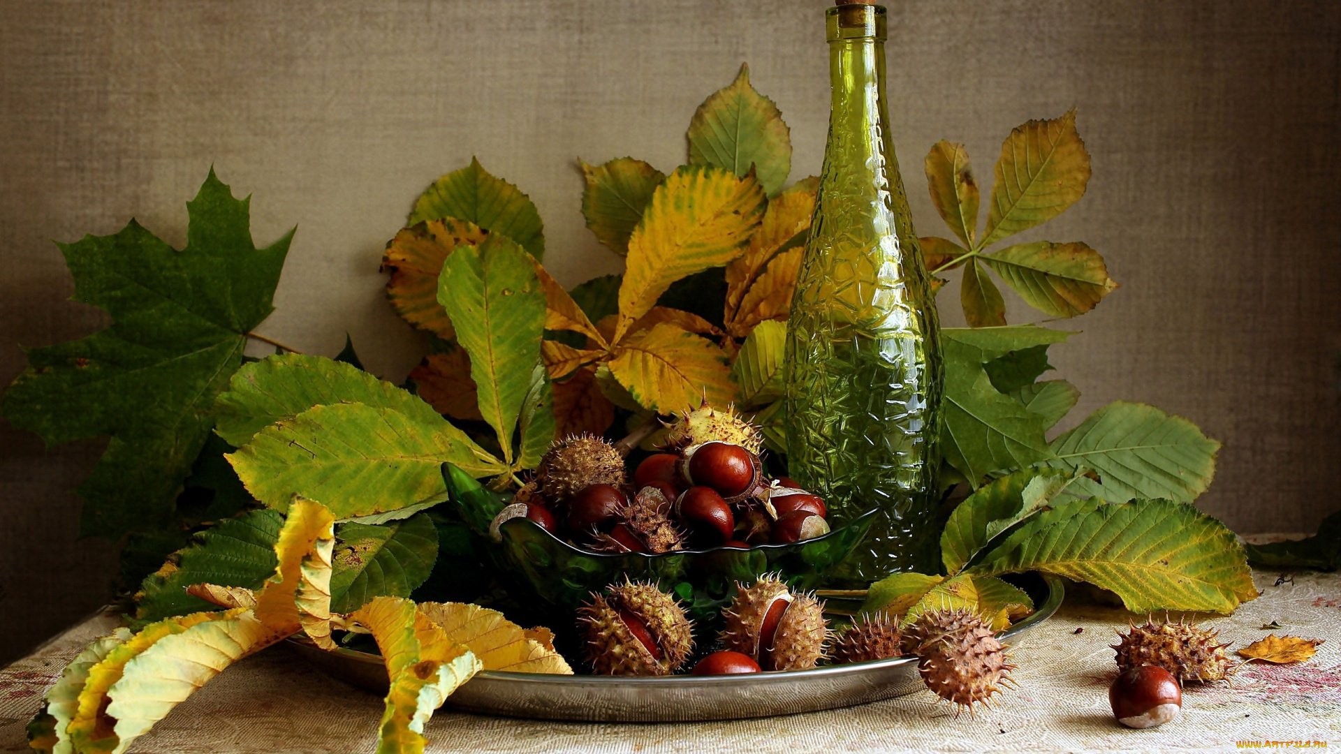 еда, натюрморт, каштаны, листья, бутыль