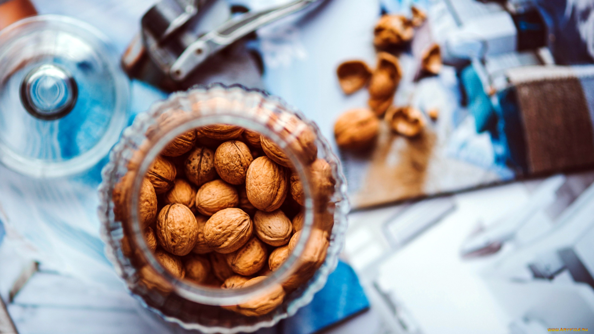 еда, орехи, , каштаны, , какао-бобы, грецкие