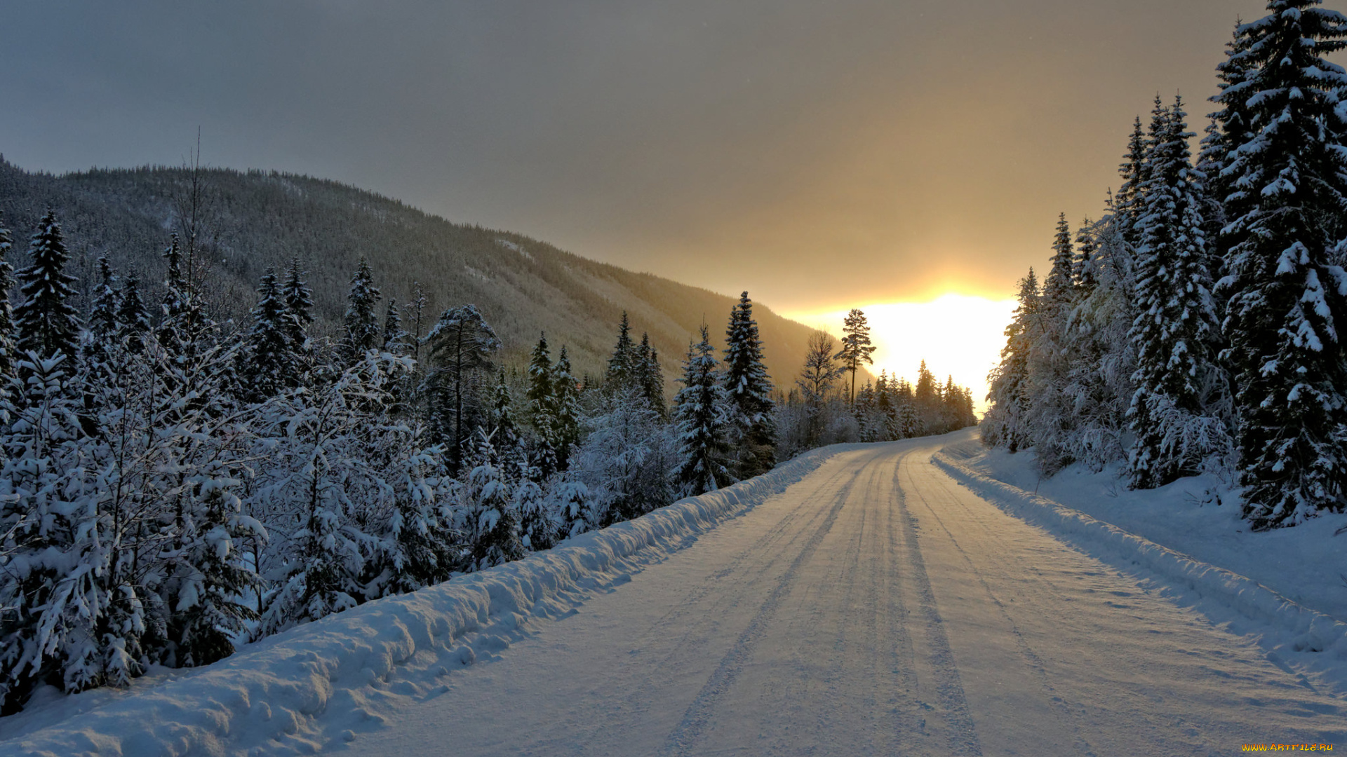 природа, дороги, простор