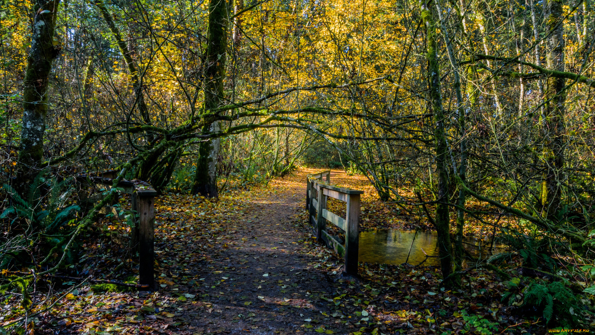 природа, дороги, простор